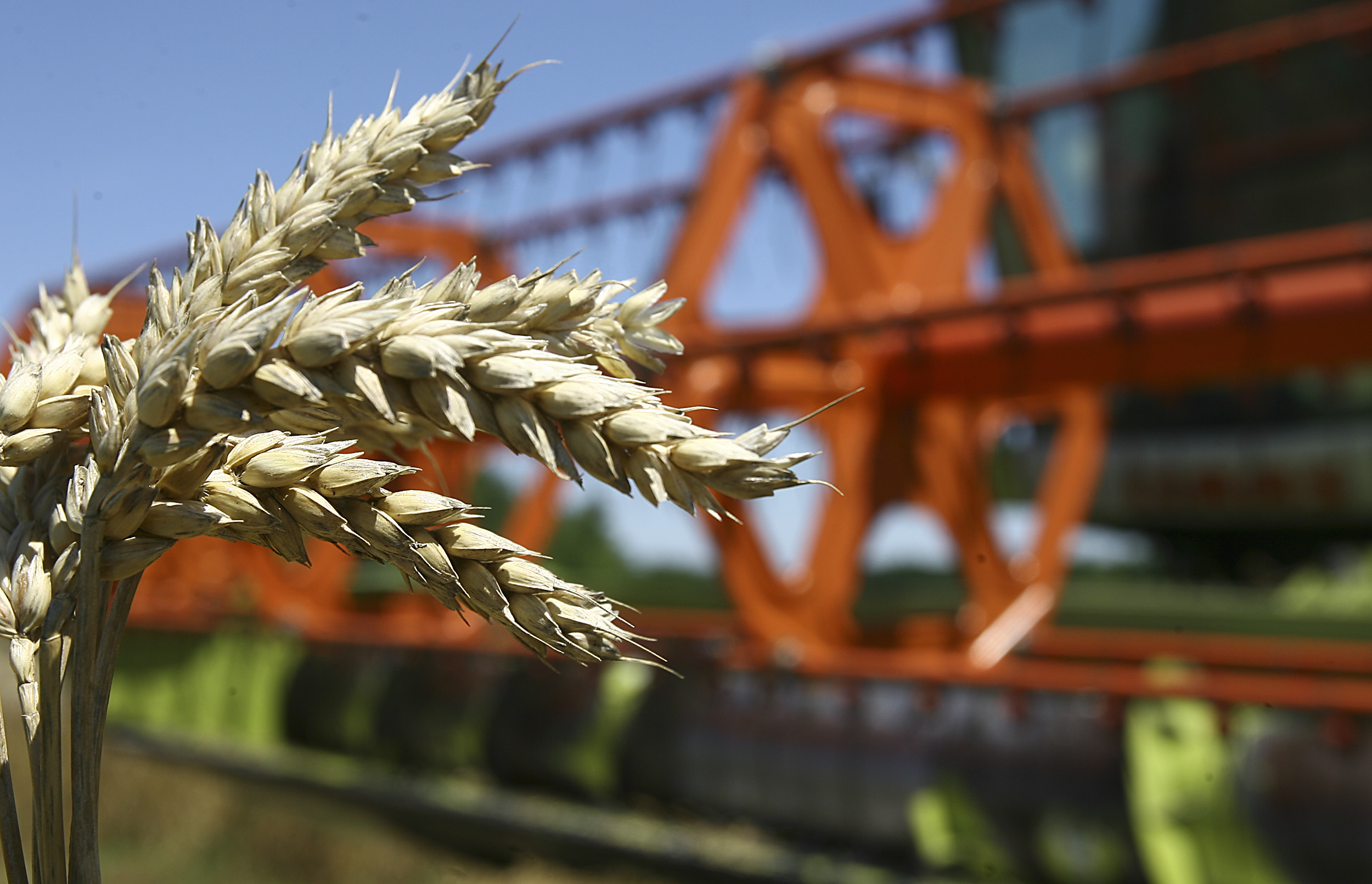 Izvoz agrara veći za 13,6 odsto