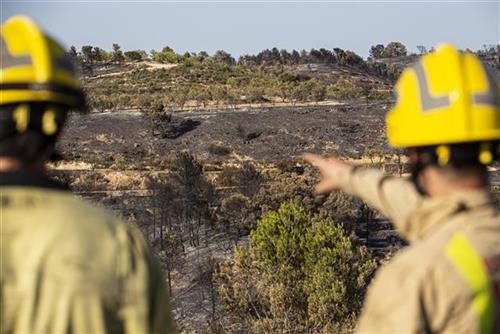 Španske vlasti obuzdale su danas šumski požar u Kataloniji Foto: AP Photo/Jordi Borras